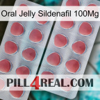 Oral Jelly Sildenafil 100Mg 19